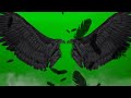 green screen wings, green screen devil wings, green screen angel wings