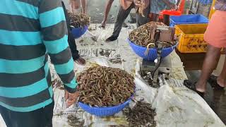 🌈അഴീക്കൽ മത്സ്യബന്ധന തുറമുഖം കാഴ്ചകൾ ❤️Fishing harbour moments Azheekkal 👍