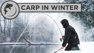 CATCH MORE CARP in WINTER with these 5 tips!