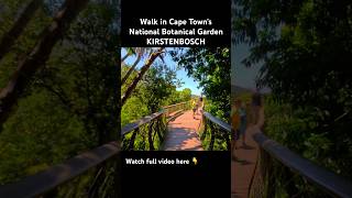 🌿 Kirstenbosch Botanical Garden | Best Moments of a Peaceful Walk #capetown #walkingtour #travel