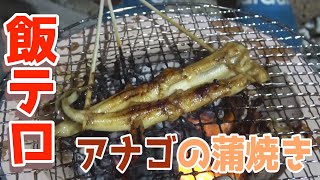 【炭火焼】釣ったアナゴで蒲焼きしたら絶品だった!!