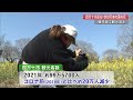 四万十川沿いで1000万本の菜の花が見頃　観光開きも【高知】 23 02 27 19 00