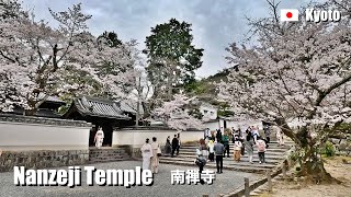 2024 南禅寺の桜, 京都 | 4K Walking