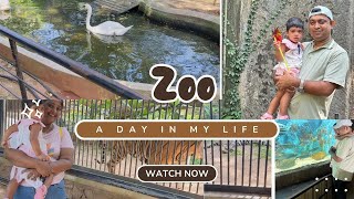 චුටි මැණිකත් එක්ක zoo යමුද? #weekendvibes #familytime #familyvlog