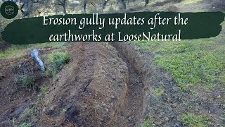 Erosion gully updates after the earthworks at LooseNatural