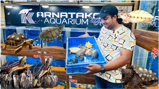 exotic turtle at Karnataka aquarium Bangalore