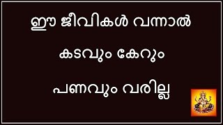 ഈ ജീവികൾ വന്നാൽ കടവും കേറും പണവും വരില്ല | Astrology Malayalam Jyothisham rajayogam Adivedas TV