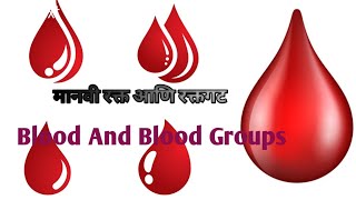 मानवी रक्त आणि रक्तगट (Human Blood And Blood Groups)