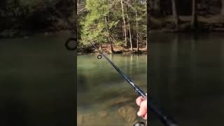 PA Rainbow Trout Caught! #troutfishing #fishermen #fishingvideo #fishing #outdoors #trout