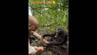 How to drink water #shorts | Monkey and Man Best Friends always #excellent #job #monkey #monkeys #yt