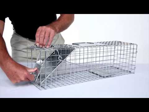 How to Set: Havahart® Medium 1-Door Trap Model #1078 for Skunks, Rabbits & Squirrels How to Set: Havahart® Medium 1-Door Trap Model #1078 for Skunks, Rabbits & Squirrels