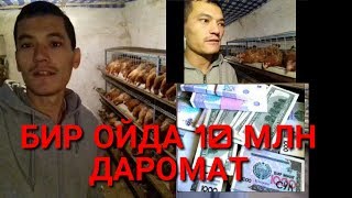 UZBDA BIZNES GOYA! TOVUQ BOQIB 1 oyda 10 MLN DAROMAT OLSA BOLADI