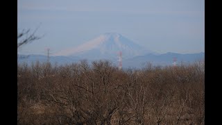 【2/11】北本自然観察公園～池と森をめぐるロングコース