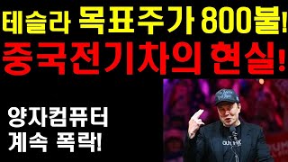 테슬라 목표주가 800달러! 모건스텐리 갑자기 왜? 중국전기차의 참혹한 현실! 양자컴퓨터 또 폭락~ 어찌해야 하나? 테슬라 다시 상승 흐름 가져오나? 미국시장의 조정장세 언제까지?