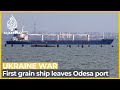 ‘It’s been a long time coming’: Grain ship leaves Odesa port