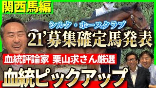 【関西馬編】2021年募集確定馬発表！血統評論家栗山求さんが選ぶお買い得種牡馬も！