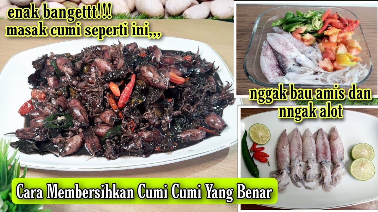 TIPS MEMBERSIHKAN CUMI-CUMI YANG BENAR||Tips Memasak Cumi Agar Tidak ...