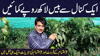 Benefits of Tunnel Farming on 1 Kanal: Earn 2 Million Rupees Annually |  @aqeelferoz