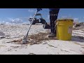 ecological disaster red tide outbreak sarasota fl 6 23 2018