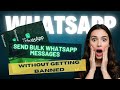 How to Send 5000 WhatsApp Messages Daily from Excel (FREE TOOL) 2025