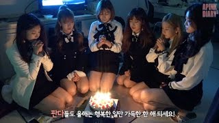 Apink Diary3 EP.09 (2016 연말 무대)