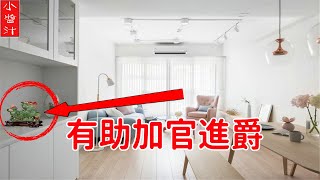 【麒麟風水】家中此處擺麒麟，容易引來貴人幫助，加官進爵