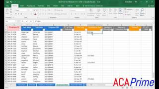 ACA Reporting Template Tutorial by ACA Prime