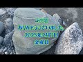 真冬の長野県中川村小渋川からの2025年1月28日。石レポート、4。2025年2月7日