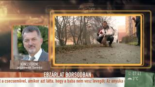 Ebzárlat veszettség miatt Borsodban - 2016.02.17. - tv2.hu/mokka