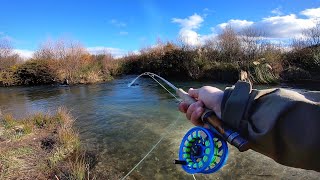 Epic Fly Fishing For NZ Chrome Trout!