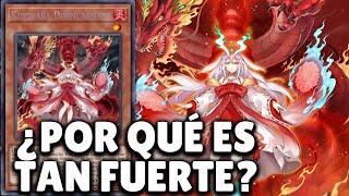 ¿Por qué es TAN FUERTE KURIKARA DIVINCARNATE?