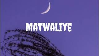 Matwaliye | Satinder Sartaj [ slowed + reverb ]