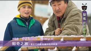 愛地球先從救鯨魚開始，TiVo聚焦「世界地球日」精選HBO《鯨奇之旅》