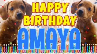 Happy Birthday Amaya! ( Funny Talking Dogs ) What Is Free On My Birthday