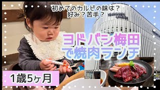 【ヨドバシ梅田】1歳5ヶ月／初焼肉でカルビを食べてみたけどどうかな？