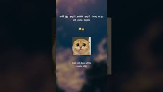 කෝ බලන්න 😂❤️#youtubeshorts #qoutes #srilanka #wow #trendingnow #viralvideo #tiktok #new #background