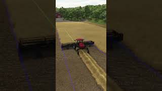 Swathing Wheat