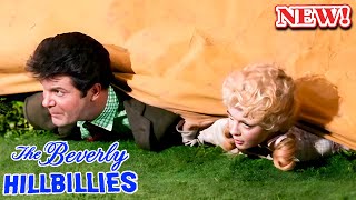 The Beverly Hillbillies 2024️ 🎯️🎯 SS10 - EP 34 🎯️🎯 Hot Sitcom TV Series 2024 Full Episodes