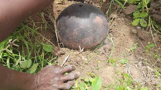 புகை வைத்து எலி பிடிப்பது எப்படி Thanjavur style rat trap#Rat trap Live Rat hunting my village style