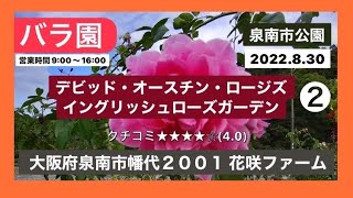 【バラ】❷デビッド・オースチン・ロージズ イングリッシュローズガーデン(泉南市公園)バラの花がほとんどない