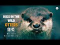 Kids in the Wild, Otters - हिन्दी डॉक्यूमेंट्री | Wildlife documentary in Hindi