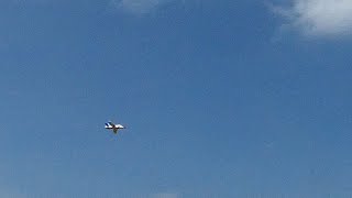 Perfect Harlock-RC Viper Jet flight end with a wheelie landing