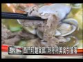 中嘉台北美食新聞 西門町麵食館 熱呼呼美食引饕客