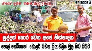 🥥🌴සුද්දත් කොර වෙන අපේ නිශ්පාදන | Coconut products #srilanka #CoconutBusiness  #SriLankancoconuts