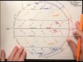 Global Winds - Trade Winds, Westerlies, Polar Easterlies