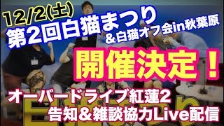 【白猫プロジェクト】第2回白猫まつりとオフ会のお知らせ\u0026OD2雑談【ライブ配信】