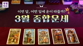 [타로]3월엔 어떤 일로 잘 풀릴까? | 직업 금전 변동수 조언👩‍🏫