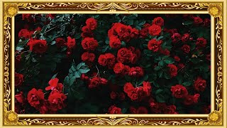 Luxurious Red Roses Artwork - A Stunning TV Background ✨