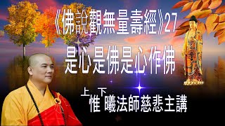 是心是佛是心作佛 -27《觀無量壽經》惟曦法師慈悲主講(有板書含字幕)