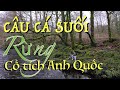 Câu cá suối trong rừng cổ tích tại Anh Quốc - UK stream fishing in fairy forests